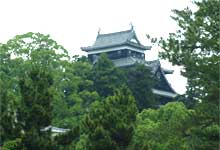 常盤の松に松江城